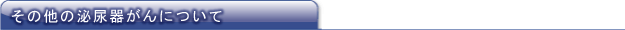 その他の泌尿器がんについて